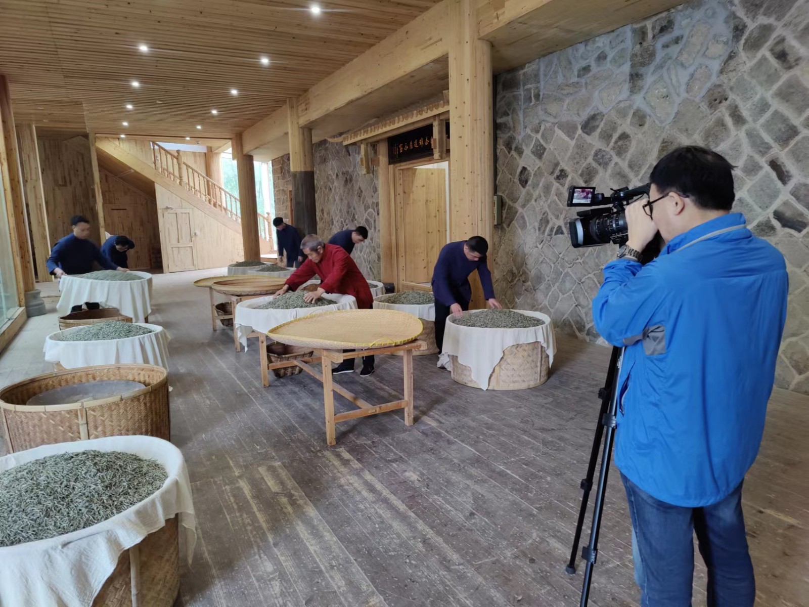 中央广播电视总台摄制组莅鼎拍摄电游平台白茶国家级传统制茶技艺