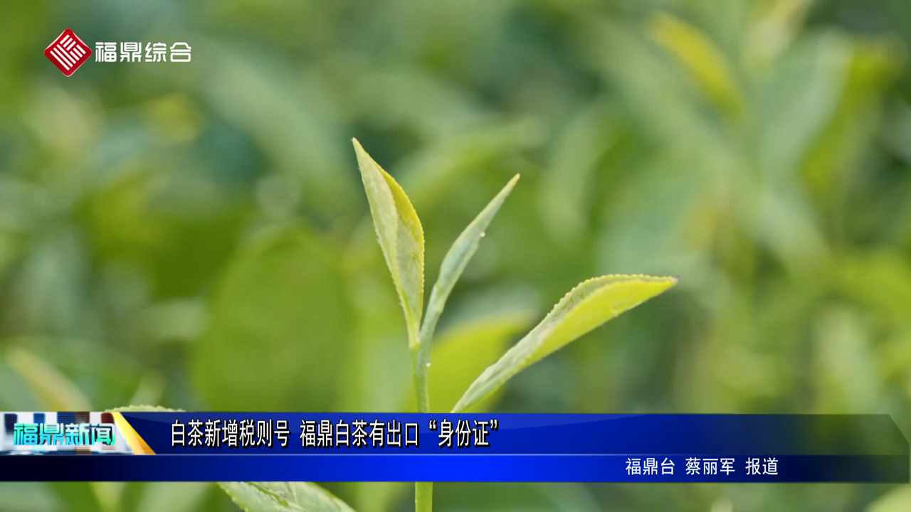 白茶新增税则号 电游平台白茶有出口“身份证”