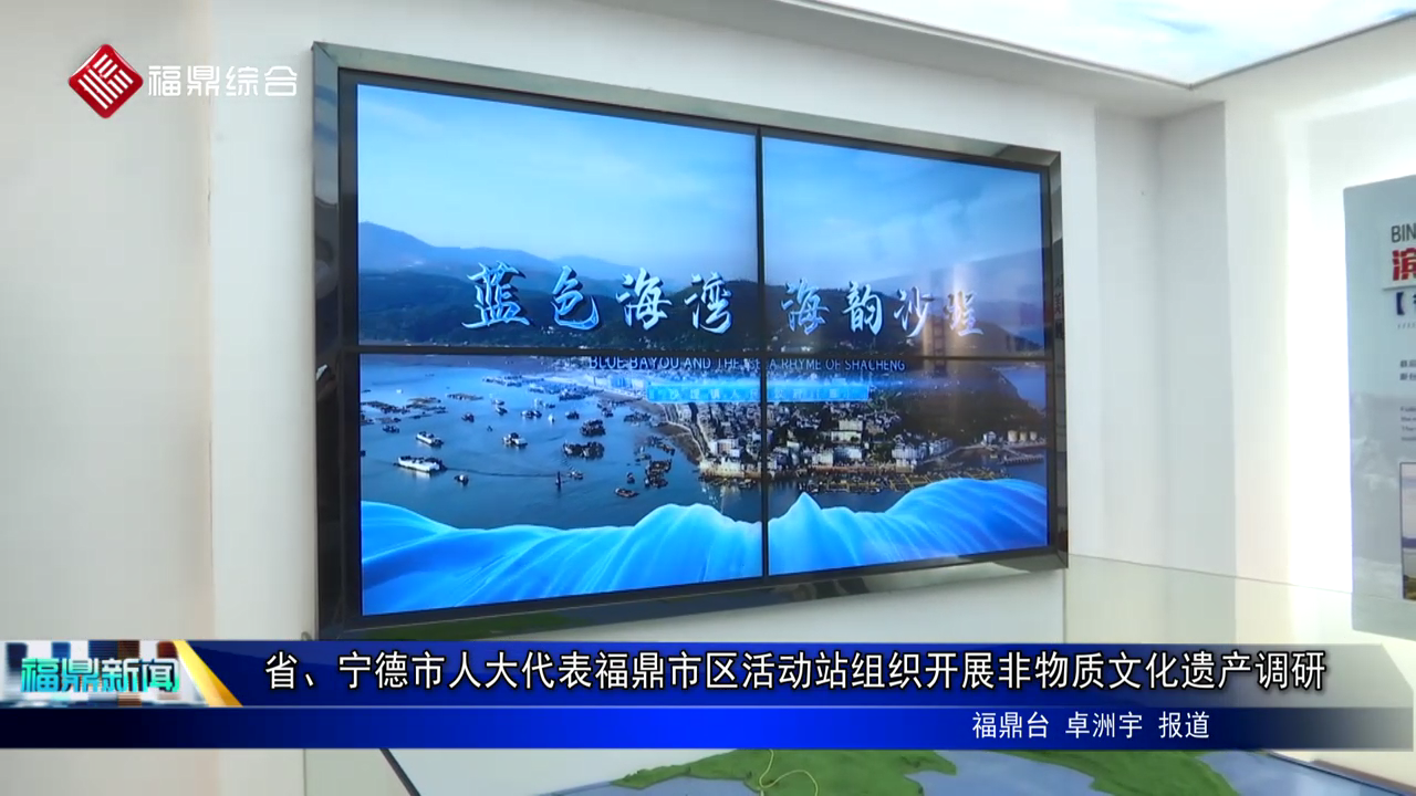 省、宁德市人大代表电游平台市区活动站组织开展非物质文化遗产调研