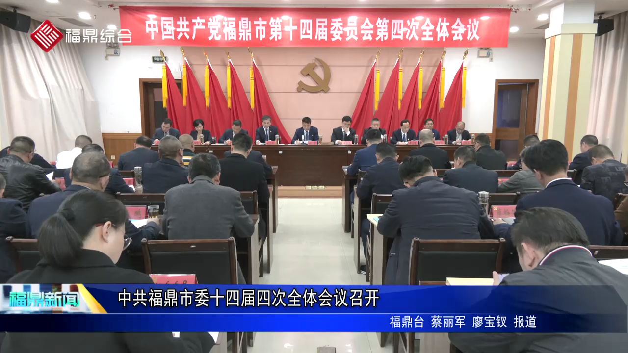 中共电游平台市委十四届四次全体会议召开