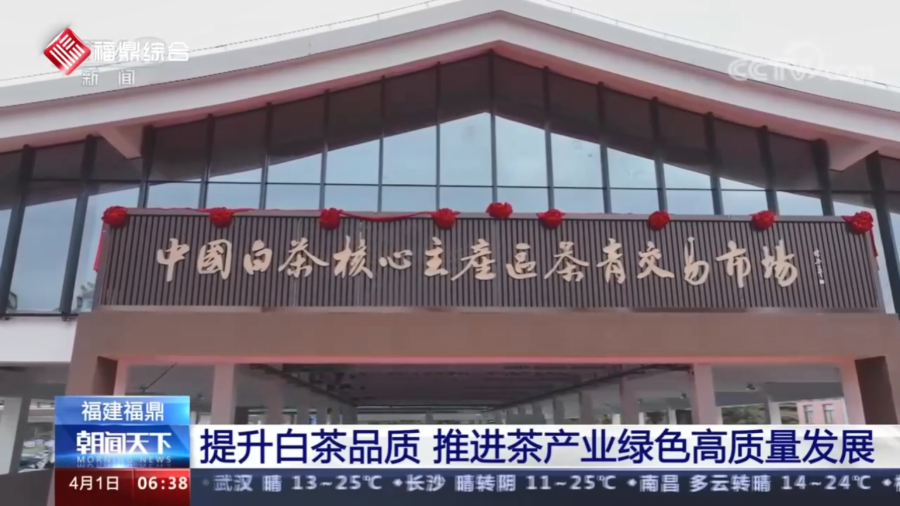 福建电游平台：提升白茶品质 推进茶产业绿色高质量发展